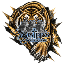 Load image into Gallery viewer, {142-142a} Dadeville Tigers
