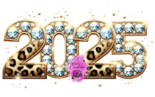 Load image into Gallery viewer, #1 New Years - 2025 Leopard
