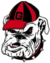 Load image into Gallery viewer, #1 Georgia Black Hoodie/Sweatshirt
