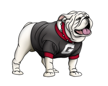 Load image into Gallery viewer, #2 Georgia Gray Hoodie/Sweatshirt

