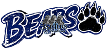 Load image into Gallery viewer, {38-38a} Camp Hill Bears
