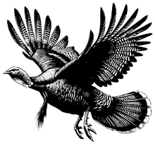 Load image into Gallery viewer, #39 Bottomland
