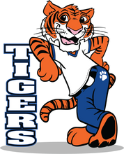 Load image into Gallery viewer, 39 Auburn Shirts
