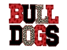 Load image into Gallery viewer, {39} Bleached Checkered Shirt-Bulldogs
