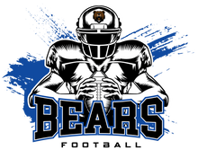 Load image into Gallery viewer, #4 Bears-Ash Hoodie/Sweatshirt
