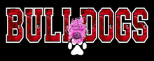 Load image into Gallery viewer, #4 Bulldogs Senior Hoodie/Sweatshirt
