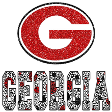 Load image into Gallery viewer, #6 Georgia Gray Hoodie/Sweatshirt
