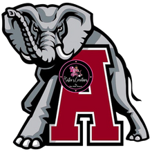 Load image into Gallery viewer, {133-78} Touch Down Season
