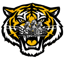 Load image into Gallery viewer, {95-95a} She's A Dadeville Tiger Fan I Can Tell

