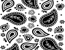 Load image into Gallery viewer, Light Blue Paisley Hoodie
